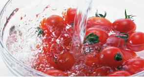 FOOD HYGIENE & HACCP malta, Assure Food & Water Safety Consultants malta