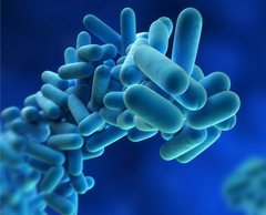 Legionella Analysis malta, Services malta, Assure Food & Water Safety Consultants malta